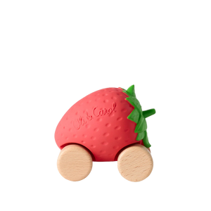 COCHE FRESA
